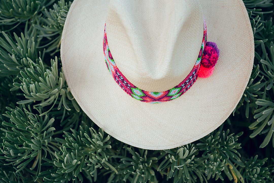 Lookbook - Palo de Yucca