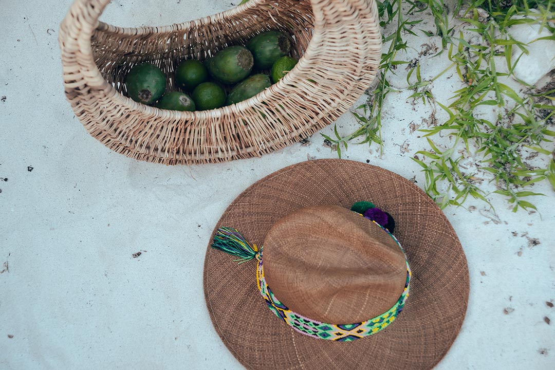 Lookbook - Palo de Yucca